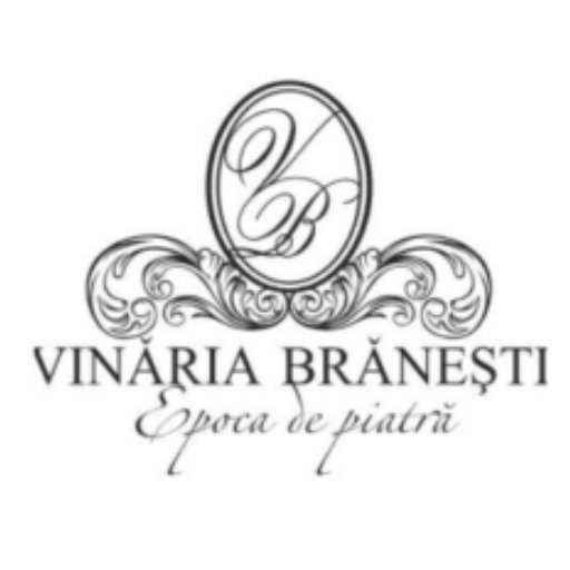 logo-branesti_